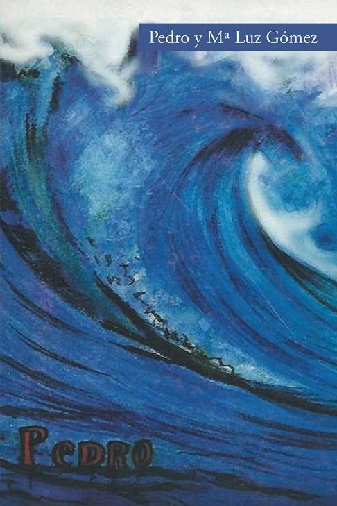 Pedro | 9788491122463 | Gómez, María Luz | Librería Castillón - Comprar libros online Aragón, Barbastro