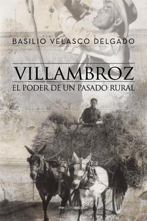 Villambroz | 9788491127697 | Velasco Delgado, Basilio | Librería Castillón - Comprar libros online Aragón, Barbastro