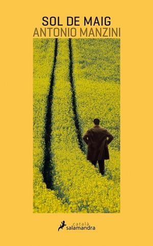 Sol de maig (Viceqüestor Rocco Schiavone 4) | 9788416310227 | Manzini, Antonio | Librería Castillón - Comprar libros online Aragón, Barbastro