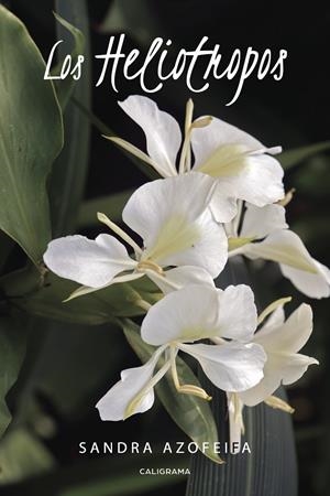 Los Heliotropos | 9788417120542 | Azofeifa, Sandra | Librería Castillón - Comprar libros online Aragón, Barbastro