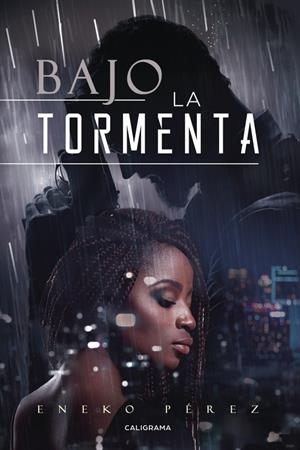 Bajo la tormenta | 9788417120214 | Pérez, Eneko | Librería Castillón - Comprar libros online Aragón, Barbastro
