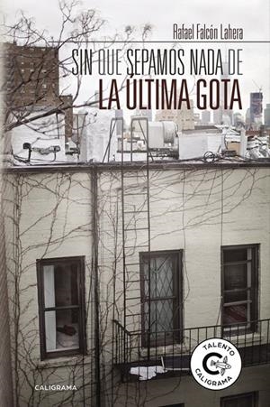Sin que sepamos nada de la última gota | 9788417234188 | Falcón Lahera, Rafael | Librería Castillón - Comprar libros online Aragón, Barbastro