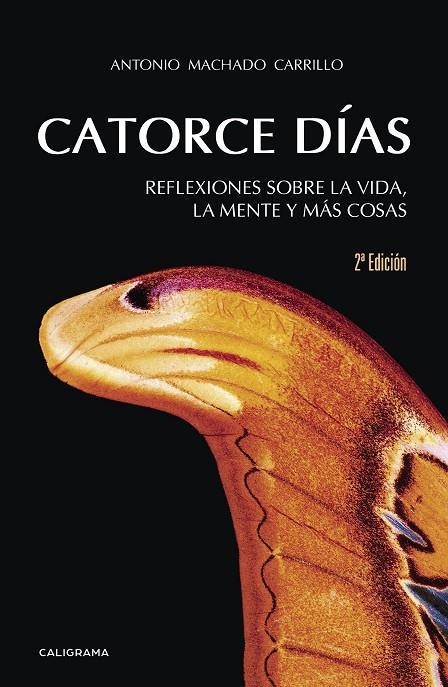 Catorce días | 9788417234775 | Machado Carrillo, Antonio | Librería Castillón - Comprar libros online Aragón, Barbastro