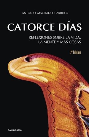 Catorce días | 9788417234775 | Machado Carrillo, Antonio | Librería Castillón - Comprar libros online Aragón, Barbastro