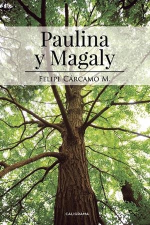 Paulina y Magaly | 9788417321130 | Cárcamo M., Felipe | Librería Castillón - Comprar libros online Aragón, Barbastro