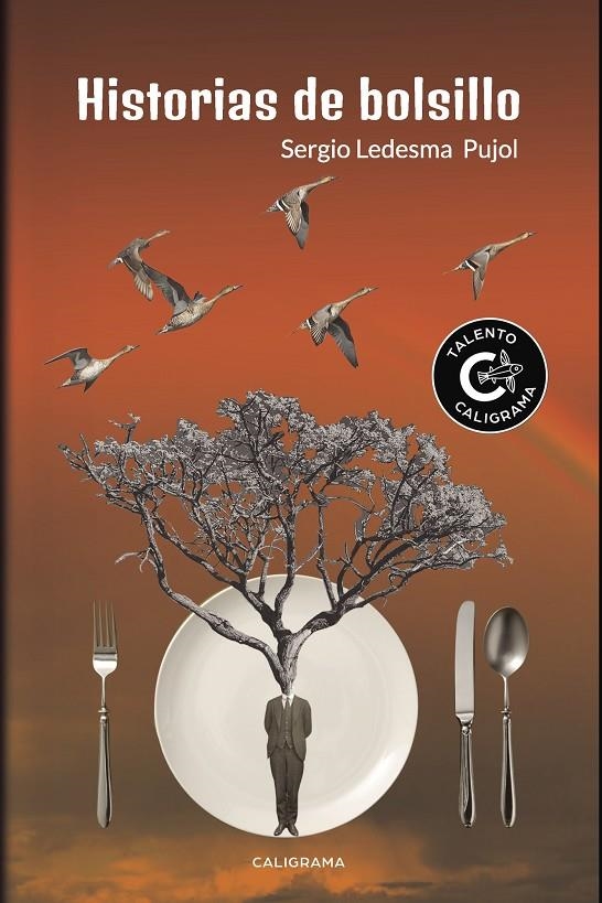 Historias de bolsillo | 9788417335847 | Ledesma  Pujol, Sergio | Librería Castillón - Comprar libros online Aragón, Barbastro