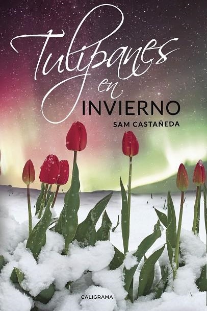 Tulipanes en invierno | 9788417382124 | Castañeda, Sam | Librería Castillón - Comprar libros online Aragón, Barbastro