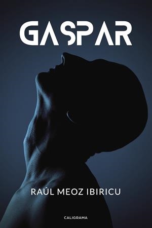 Gaspar | 9788417426323 | Meoz Ibiricu, Raúl | Librería Castillón - Comprar libros online Aragón, Barbastro