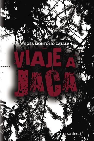 Viaje a Jaca | 9788417382254 | Montolío Catalán, Rosa | Librería Castillón - Comprar libros online Aragón, Barbastro