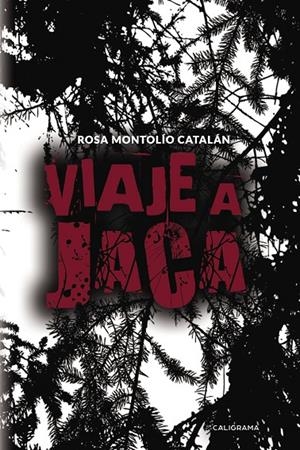 Viaje a Jaca | 9788417382254 | Montolío Catalán, Rosa | Librería Castillón - Comprar libros online Aragón, Barbastro