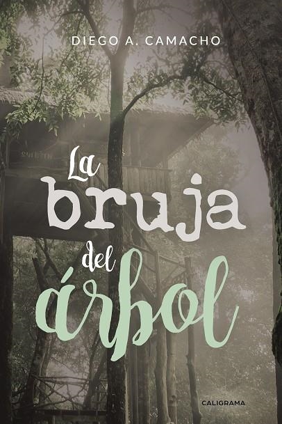 La bruja del árbol | 9788417426187 | Camacho, Diego A. | Librería Castillón - Comprar libros online Aragón, Barbastro