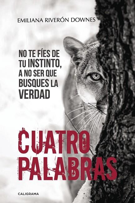 Cuatro palabras | 9788491128410 | Riverón Downes, Emiliana | Librería Castillón - Comprar libros online Aragón, Barbastro