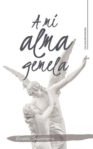 A mi alma gemela | 9788417533205 | Salvatierra, Ernesto | Librería Castillón - Comprar libros online Aragón, Barbastro