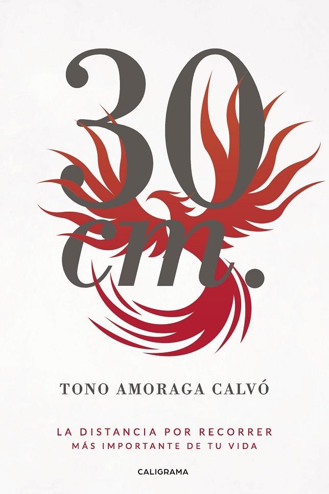 30 cm. | 9788417321406 | Amoraga Calvó, Tono | Librería Castillón - Comprar libros online Aragón, Barbastro