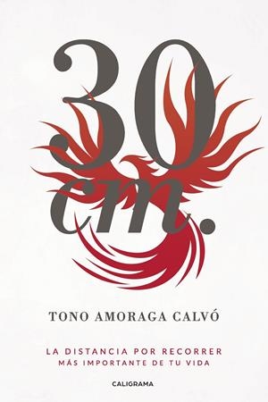 30 cm. | 9788417321406 | Amoraga Calvó, Tono | Librería Castillón - Comprar libros online Aragón, Barbastro