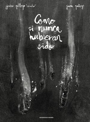 Como si nunca hubieran sido | 9788417511036 | Javier Gallego Juan Gallego | Librería Castillón - Comprar libros online Aragón, Barbastro