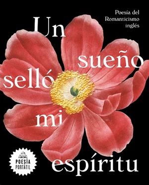 Un sueño selló mi espíritu | 9788439735328 | Varios autores | Librería Castillón - Comprar libros online Aragón, Barbastro