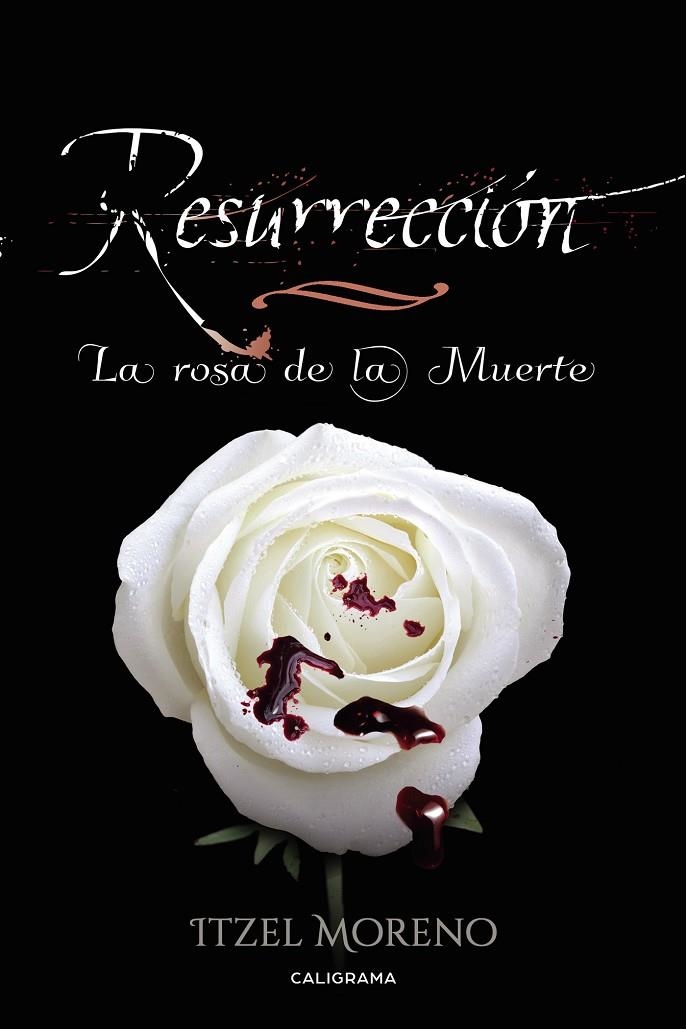 Resurrección | 9788417234560 | Moreno, Itzel | Librería Castillón - Comprar libros online Aragón, Barbastro