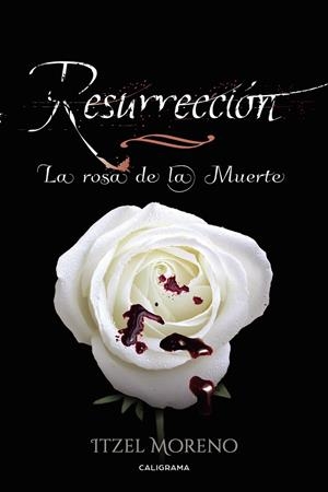 Resurrección | 9788417234560 | Moreno, Itzel | Librería Castillón - Comprar libros online Aragón, Barbastro