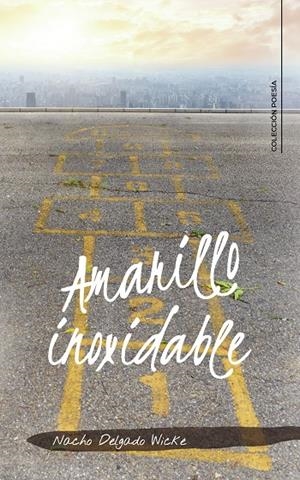 Amarillo inoxidable | 9788417772789 | Delgado Wicke, Nacho | Librería Castillón - Comprar libros online Aragón, Barbastro