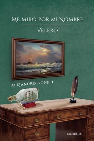 Me miró por mi nombre | 9788417772604 | Gonfel, Alejandro | Librería Castillón - Comprar libros online Aragón, Barbastro
