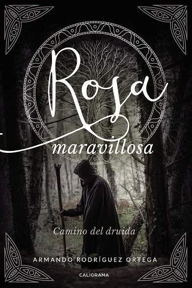 Rosa maravillosa | 9788417856489 | Rodríguez Ortega, Armando | Librería Castillón - Comprar libros online Aragón, Barbastro