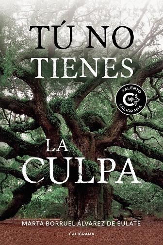 Tú no tienes la culpa | 9788417856106 | Borruel Álvarez de Eulate, Marta | Librería Castillón - Comprar libros online Aragón, Barbastro