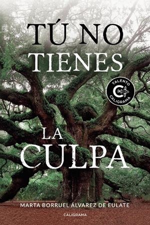 Tú no tienes la culpa | 9788417856106 | Borruel Álvarez de Eulate, Marta | Librería Castillón - Comprar libros online Aragón, Barbastro