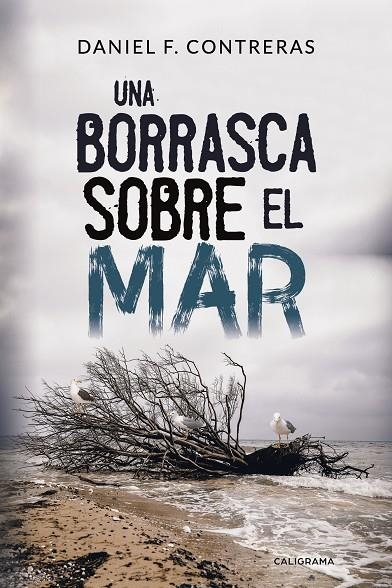 Una borrasca sobre el mar | 9788417234195 | F. Contreras, Daniel | Librería Castillón - Comprar libros online Aragón, Barbastro