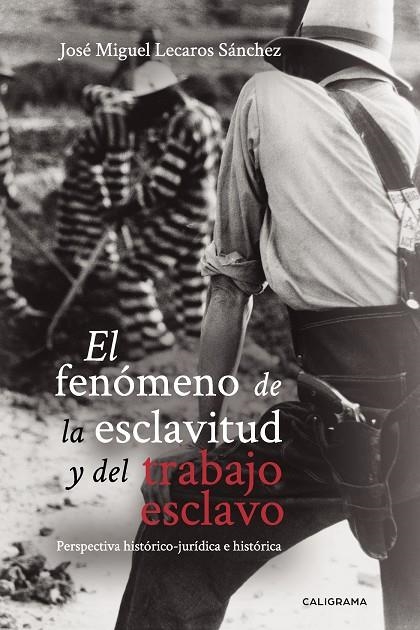 El fenómeno de la esclavitud y del trabajo esclavo | 9788417947217 | Lecaros Sánchez, José Miguel | Librería Castillón - Comprar libros online Aragón, Barbastro