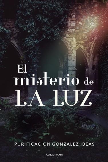 El misterio de La Luz | 9788417717100 | González Ibeas, Purificación | Librería Castillón - Comprar libros online Aragón, Barbastro