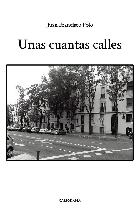 Unas cuantas calles | 9788417984199 | Polo, Juan Francisco | Librería Castillón - Comprar libros online Aragón, Barbastro