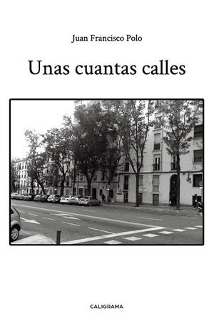Unas cuantas calles | 9788417984199 | Polo, Juan Francisco | Librería Castillón - Comprar libros online Aragón, Barbastro