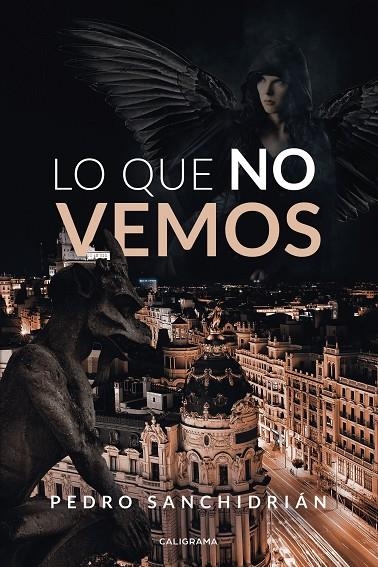 Lo que no vemos | 9788418073052 | Sanchidrián, Pedro | Librería Castillón - Comprar libros online Aragón, Barbastro