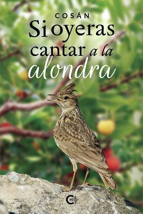 Si oyeras cantar a la alondra | 9788418104411 | Cosán, | Librería Castillón - Comprar libros online Aragón, Barbastro
