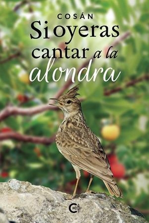 Si oyeras cantar a la alondra | 9788418104411 | Cosán, | Librería Castillón - Comprar libros online Aragón, Barbastro