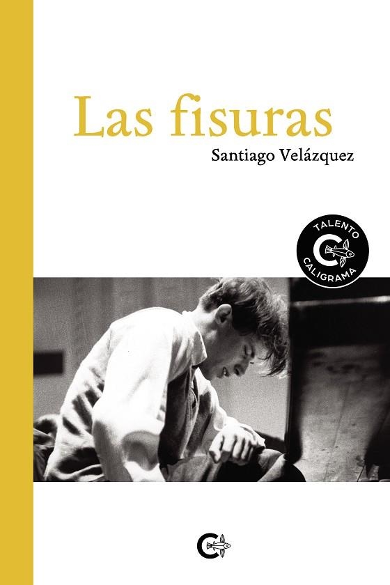 Las fisuras | 9788418104541 | Velázquez, Santiago | Librería Castillón - Comprar libros online Aragón, Barbastro