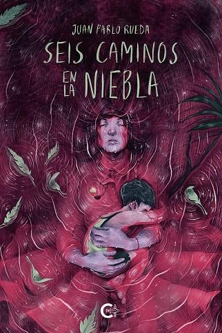 Seis caminos en la niebla | 9788418203473 | Rueda, Juan Pablo | Librería Castillón - Comprar libros online Aragón, Barbastro