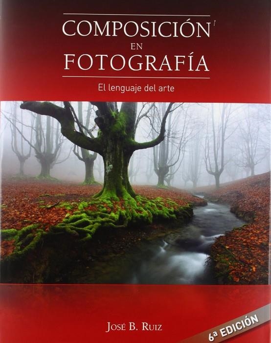 Composición en fotografía | 9788493620714 | Ruiz Limiñana, José Benito | Librería Castillón - Comprar libros online Aragón, Barbastro
