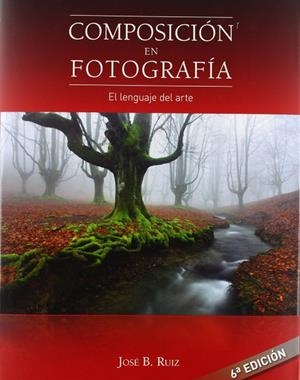 Composición en fotografía | 9788493620714 | Ruiz Limiñana, José Benito | Librería Castillón - Comprar libros online Aragón, Barbastro