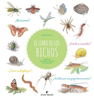 El libro de los bichos | 9788417800413 | Tordjman, Nathalie | Librería Castillón - Comprar libros online Aragón, Barbastro