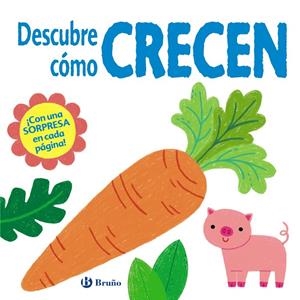 Descubre cómo crecen | 9788469629321 | Hamley, Kylie ; Bermingham, Alice-May ;Hulme, Kerri-Ann | Librería Castillón - Comprar libros online Aragón, Barbastro