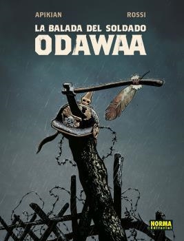 LA BALADA DEL SOLDADO ODAWAA | 9788467945768 | APIKIAN/ROSSI | Librería Castillón - Comprar libros online Aragón, Barbastro