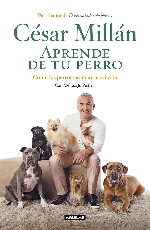APRENDE DE TU PERRO | 9788403518445 | César Millán | Librería Castillón - Comprar libros online Aragón, Barbastro