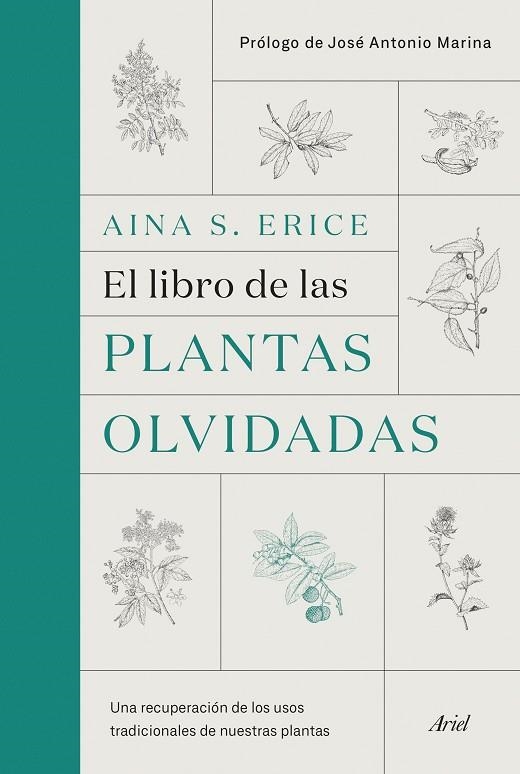 El libro de las plantas olvidadas | 9788434431461 | S. Erice, Aina | Librería Castillón - Comprar libros online Aragón, Barbastro