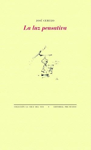 La luz pensativa | 9788418935060 | Cereijo, José | Librería Castillón - Comprar libros online Aragón, Barbastro