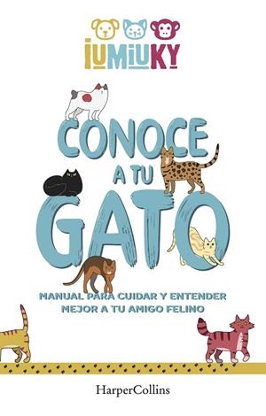 Conoce a tu gato. Manual para cuidar y entender mejor a tu amigo felino | 9788491396529 | Iumiuky, Mediaset | Librería Castillón - Comprar libros online Aragón, Barbastro