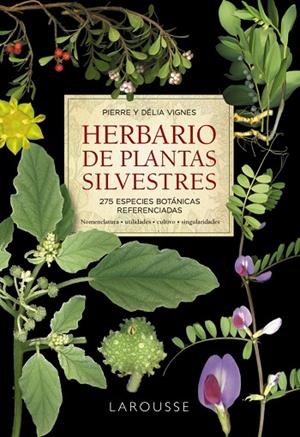 Herbario de plantas silvestres | 9788418473999 | Vignes, Pierre/Vignes, Délia | Librería Castillón - Comprar libros online Aragón, Barbastro