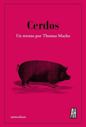 Cerdos | 9788412403398 | Macho, Thomas | Librería Castillón - Comprar libros online Aragón, Barbastro