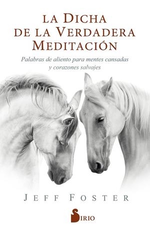 DICHA DE LA VERDADERA MEDITACIÓN, LA /PALABRAS DE ALIENTO PARA MENTES CANSADAS Y CORAZONES SALVAJES | 9788418000522 | FOSTER, JEFF | Librería Castillón - Comprar libros online Aragón, Barbastro